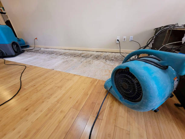 Professional Sewage Cleanup technician working in Gregory, MI